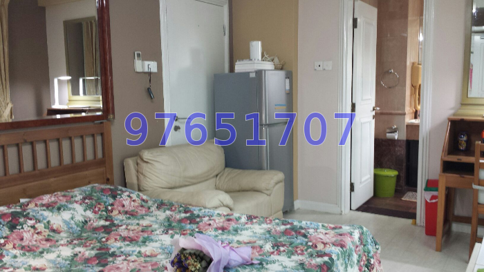 Kentish Green (D8), Apartment #13826652